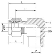 femaleelbowdiagram